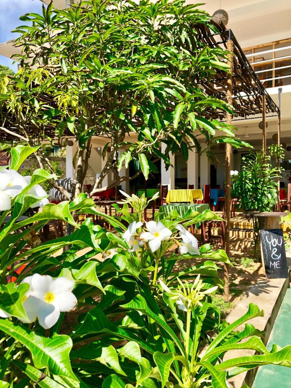 Coppenrath Hostel Tangalle Buitenkant foto